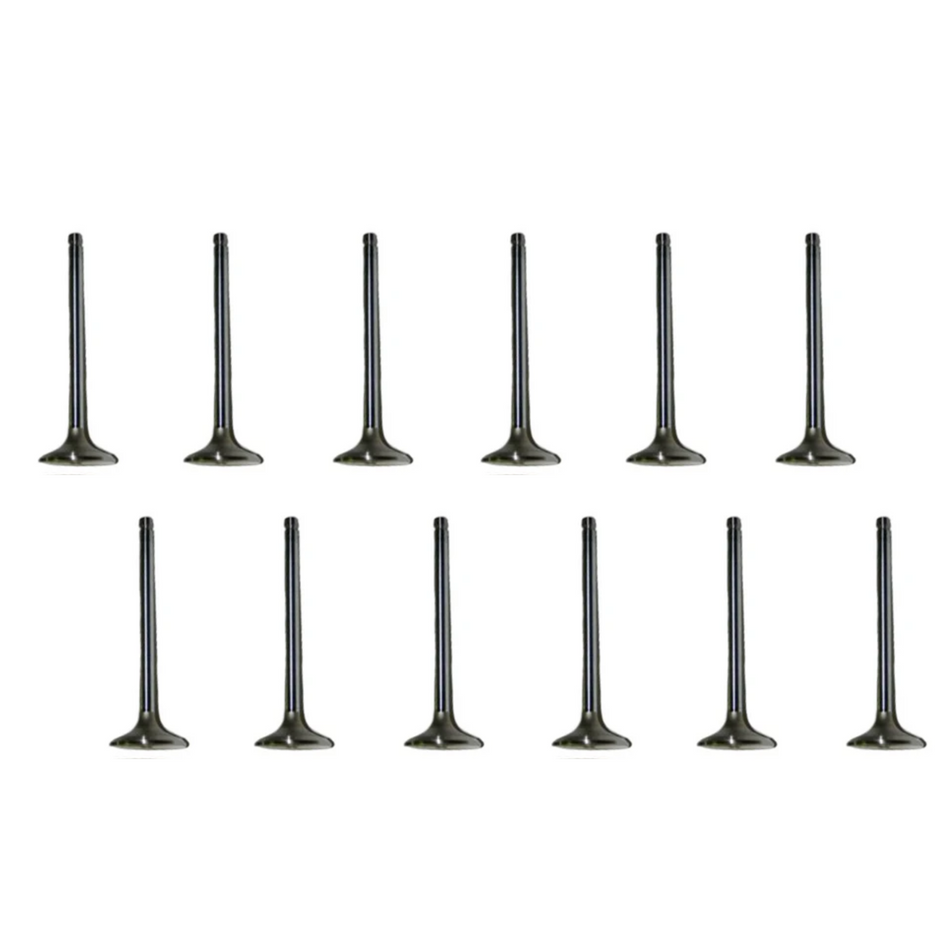 1989-1998 Cummins 5.9L 12V SBI Intake & Exhaust Valve Set of 12 (01664 & 01665)