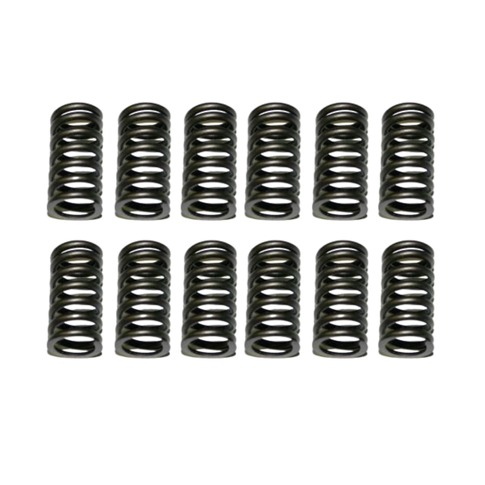1989-1996 Cummins 5.9L 12V Valve Spring Set of 12 (160-1348)