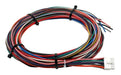 AEM Electronics Wiring Harness for V3 Standard/HD Controller (30-3323) - AEM Electronics